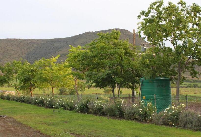 بنسيون Mountain View Country Guest House