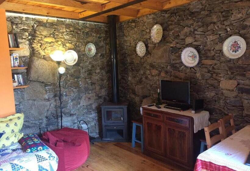 ペンション Palheiro Do Castelo   Pátio