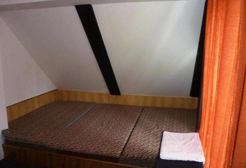 膳宿费 Penzion Pod Studenovem