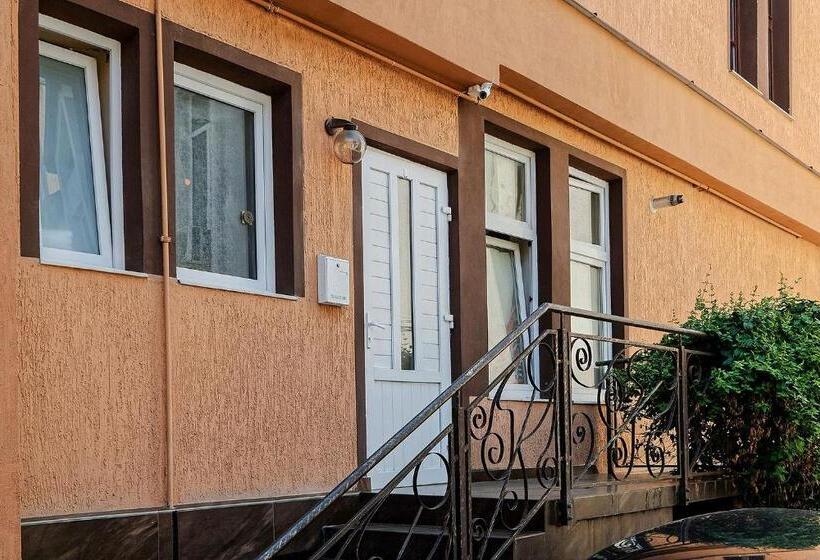 ペンション Residence Castelului