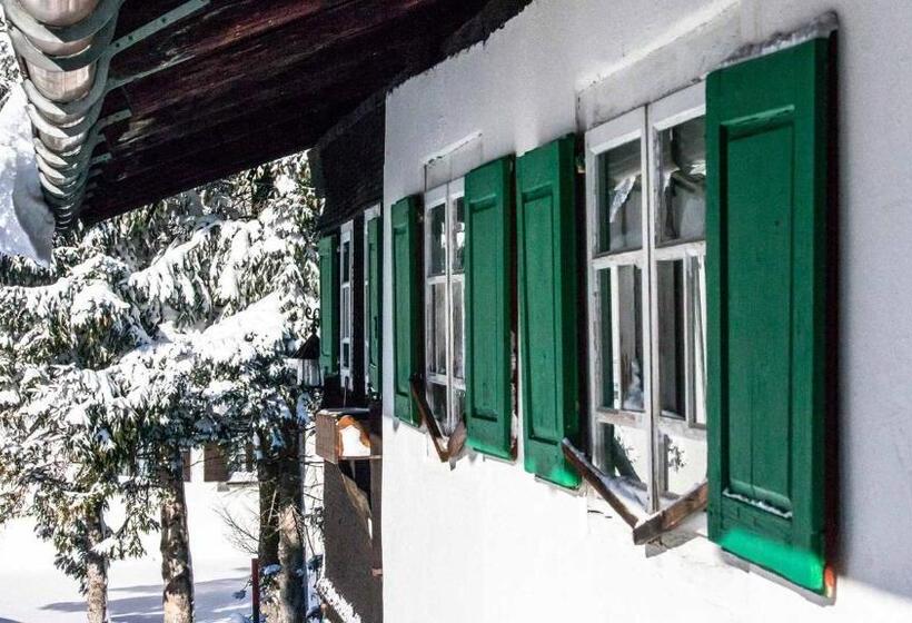 پانسیون Sandbur Das Walserhaus