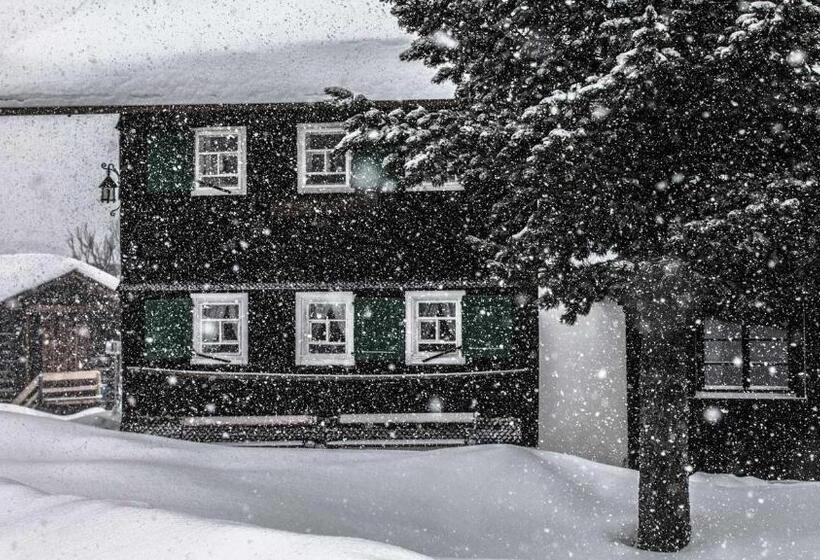 פנסיון Sandbur Das Walserhaus