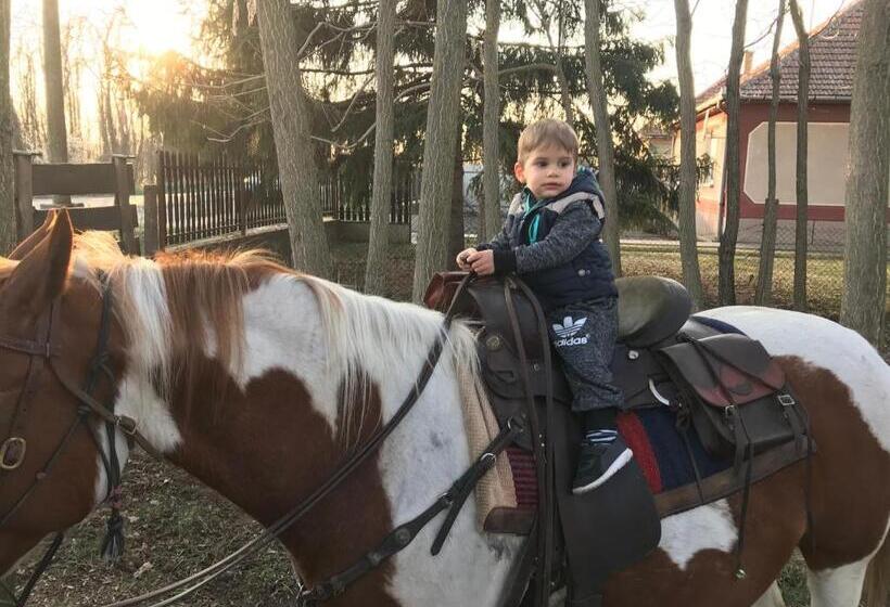 بنسيون Tölgyfa Vendégház