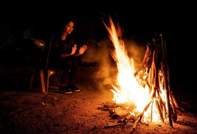 אתר נופש Dark Forest Retreat