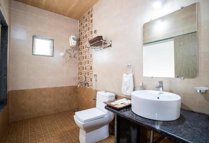 אתר נופש Dark Forest Retreat