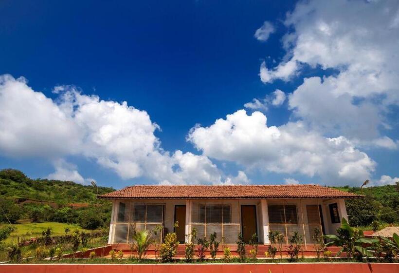 אתר נופש Dark Forest Retreat