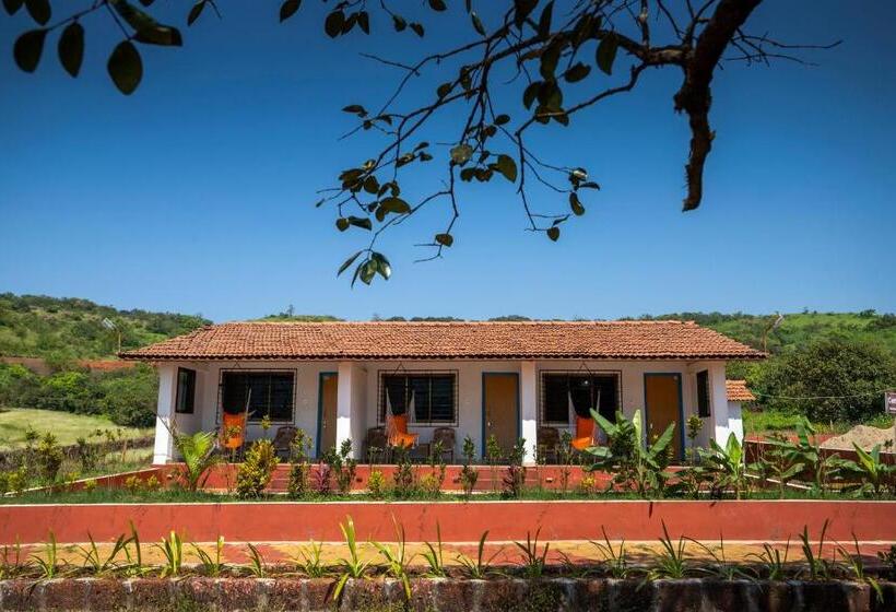 אתר נופש Dark Forest Retreat