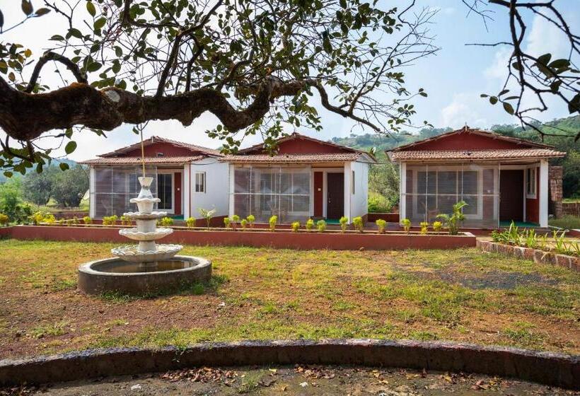 אתר נופש Dark Forest Retreat