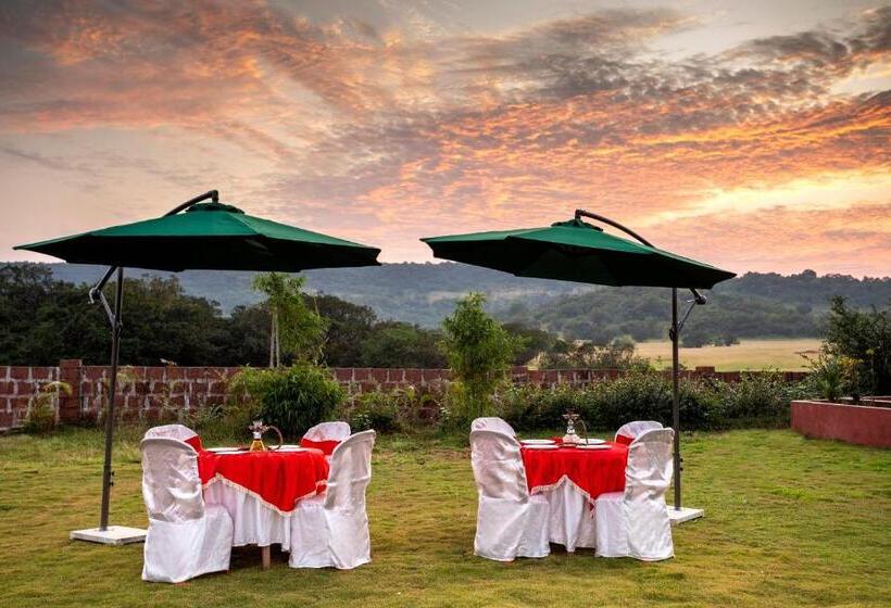 אתר נופש Dark Forest Retreat