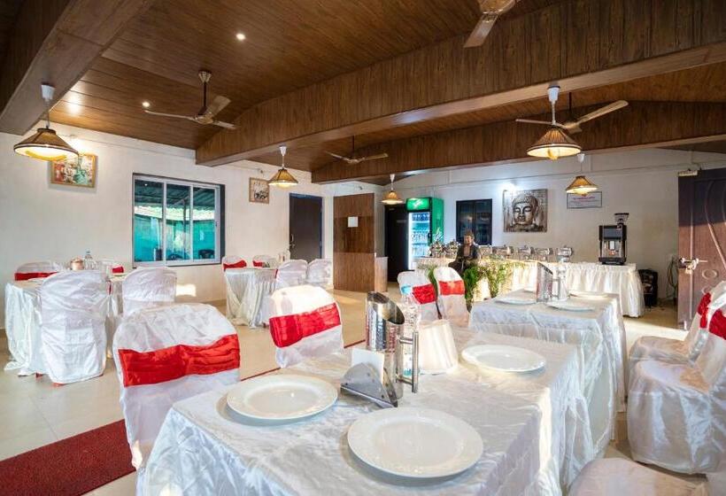 אתר נופש Dark Forest Retreat