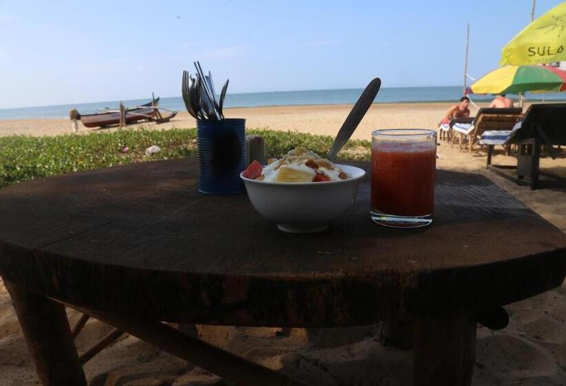 אתר נופש Drishti Yoga International