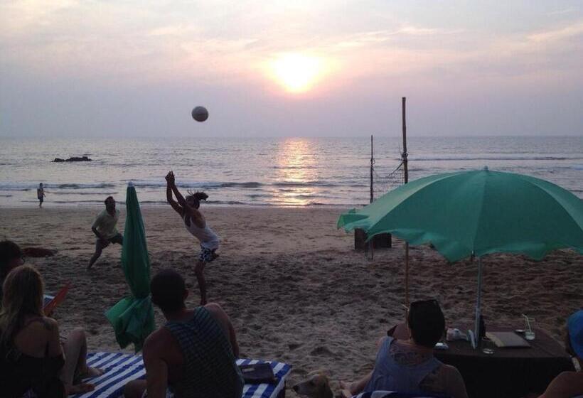 אתר נופש Drishti Yoga International