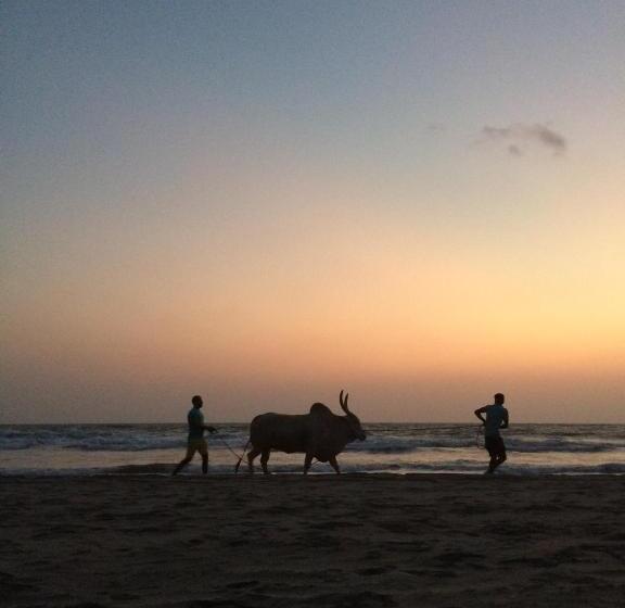 Курорт Ff Space, Beach Property Only For Shanti Yoga People, Mandremarambol Beach