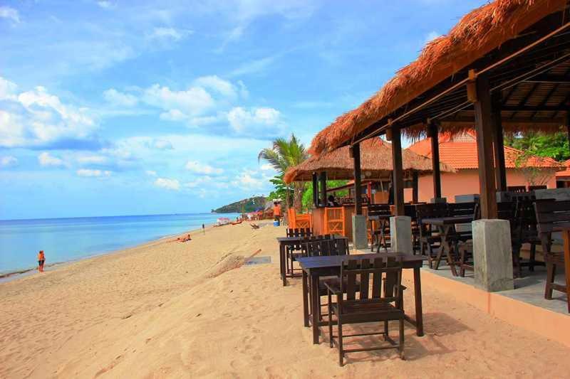 渡假胜地  Peace Paradise Beach