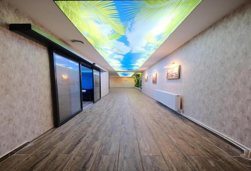 渡假胜地 The Sunshine Otel