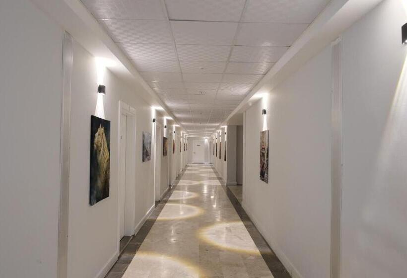 渡假胜地 The Sunshine Otel