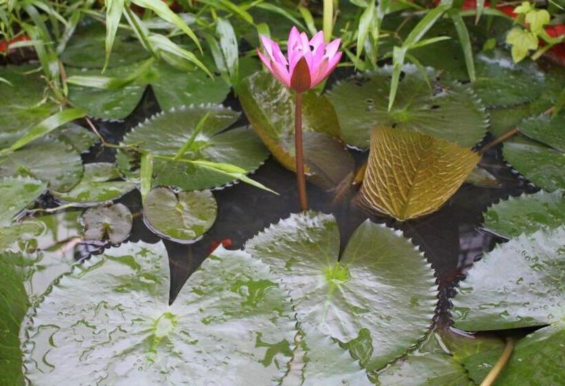 استراحتگاه Tra Vinh Lodge