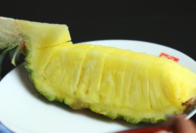 ریوکان Fujimien