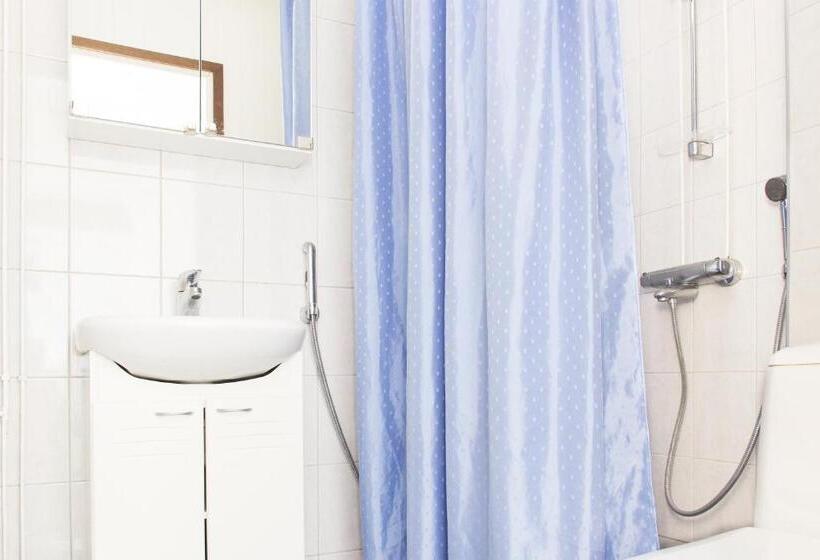 Summer Hotel Tähtelä, Alkio Opisto