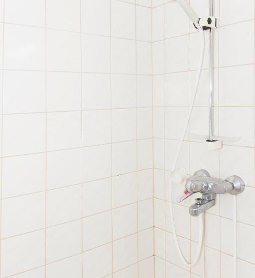 Summer Hotel Tähtelä, Alkio Opisto