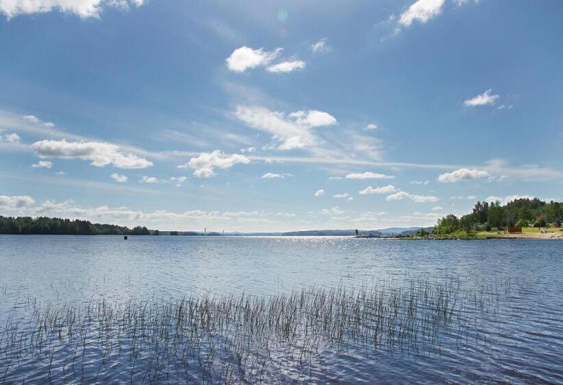 Summer Hotel Tähtelä, Alkio Opisto