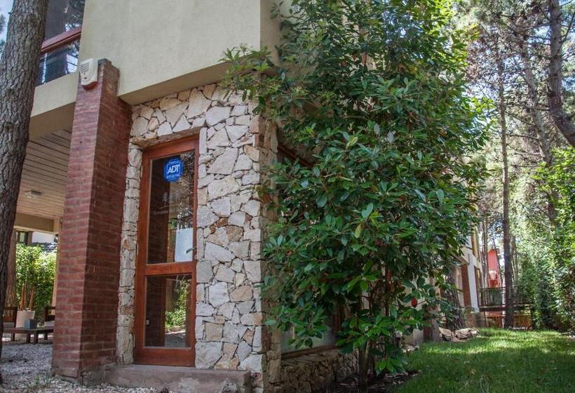 Terrazas Del Bosque Aparts