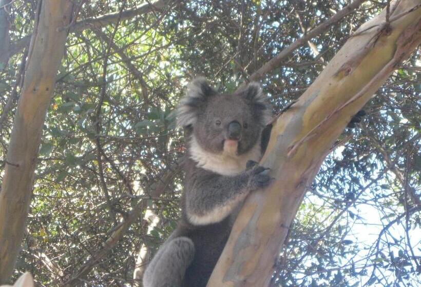 The Linear Way Bed And Breakfast