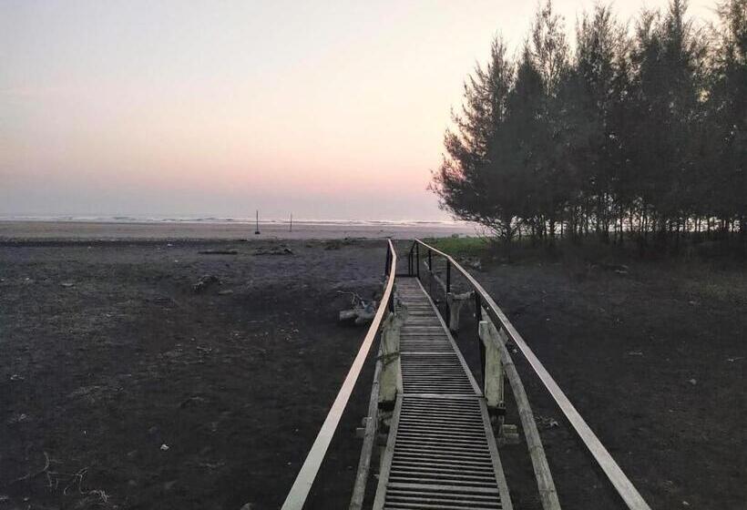 Whistling Waves Beach Resort