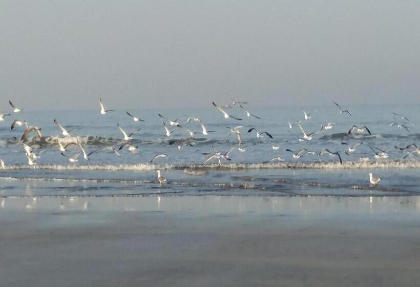 Whistling Waves Beach Resort