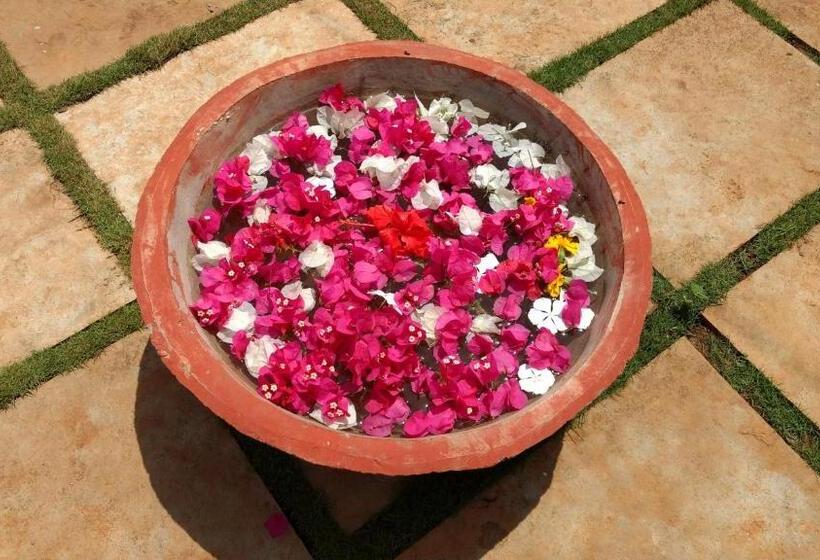 Whistling Waves Beach Resort