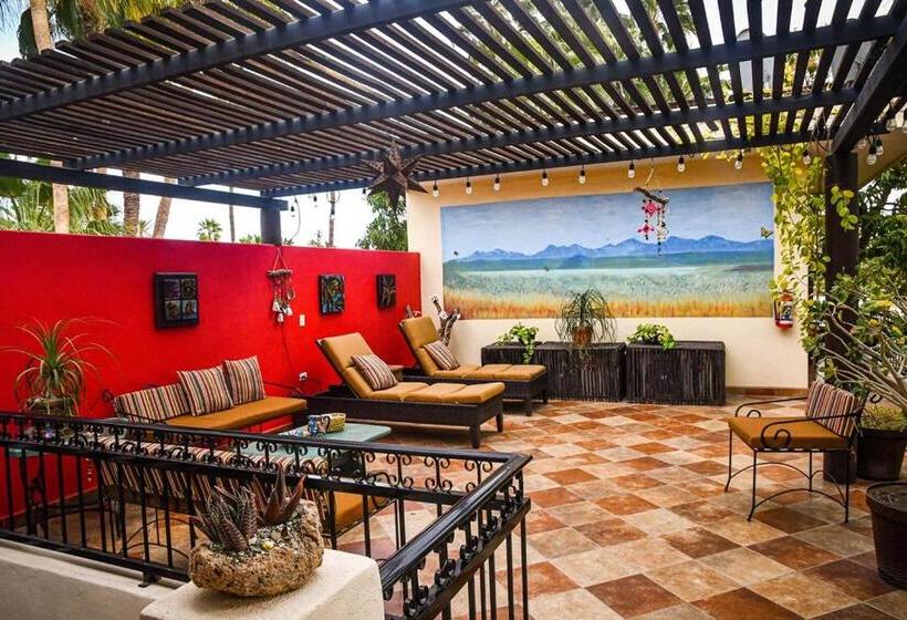 旅馆 Casa Mangos Loreto