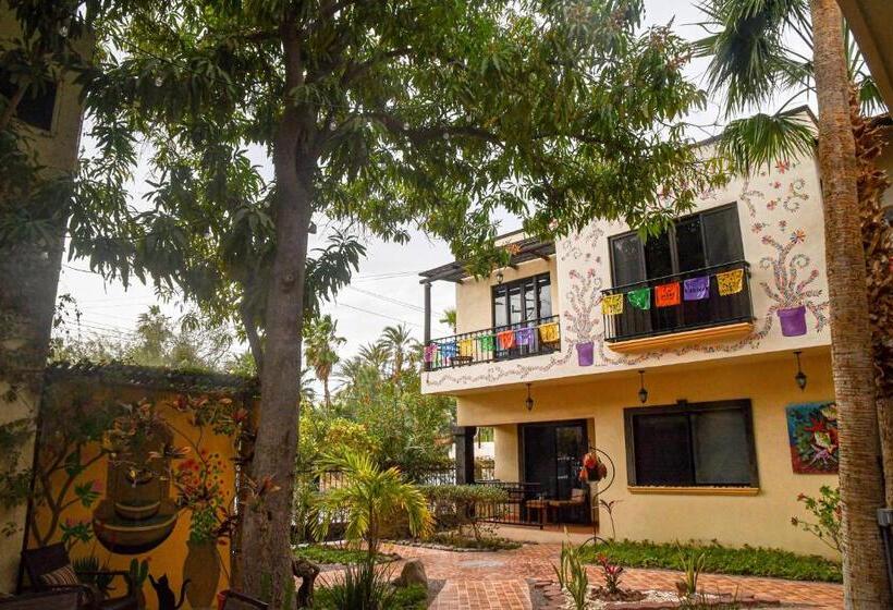 旅馆 Casa Mangos Loreto