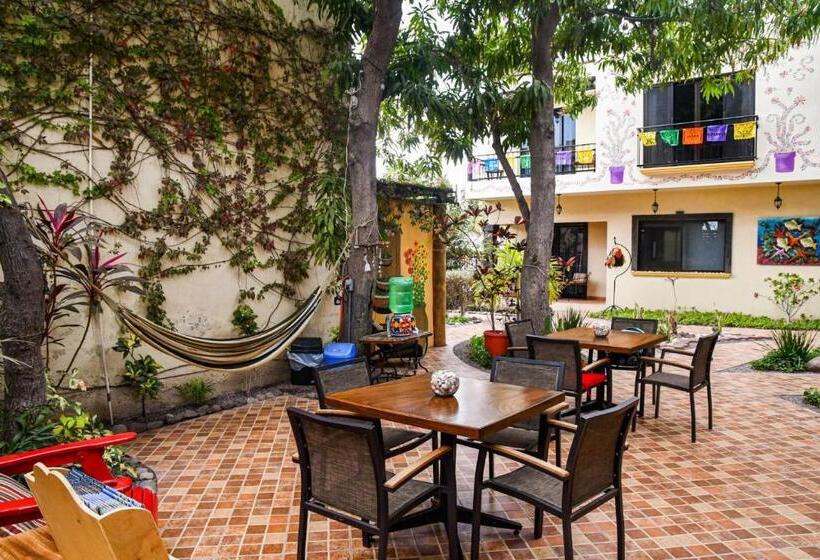 旅馆 Casa Mangos Loreto