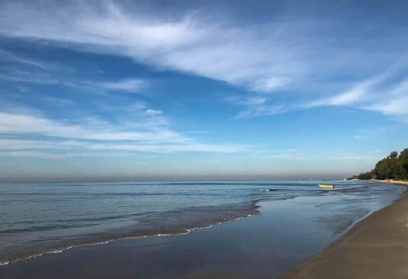 Beach Box Resort