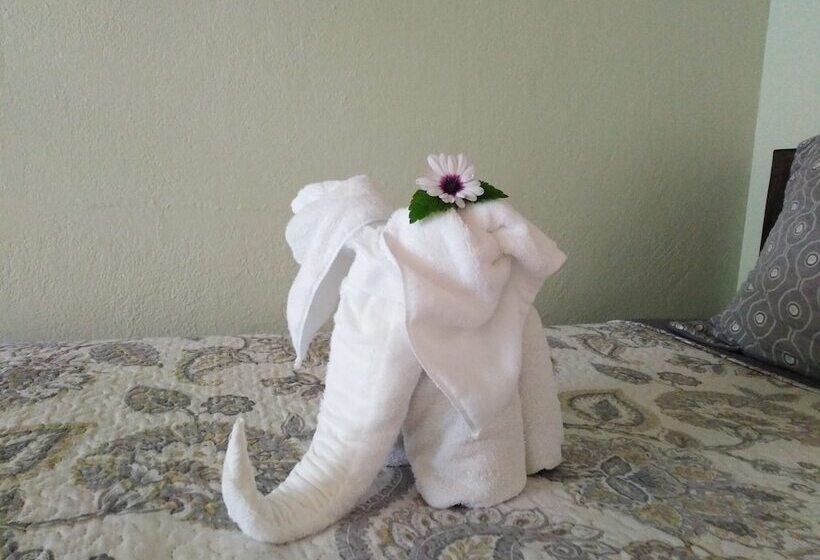 민박 Cassidini House