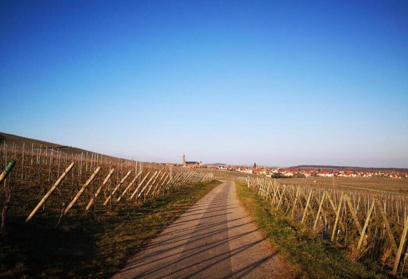 مبيت وإفطار Chambres D Hôtes Arnold