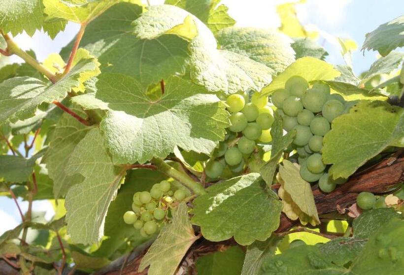 مبيت وإفطار Chambres D Hôtes Arnold