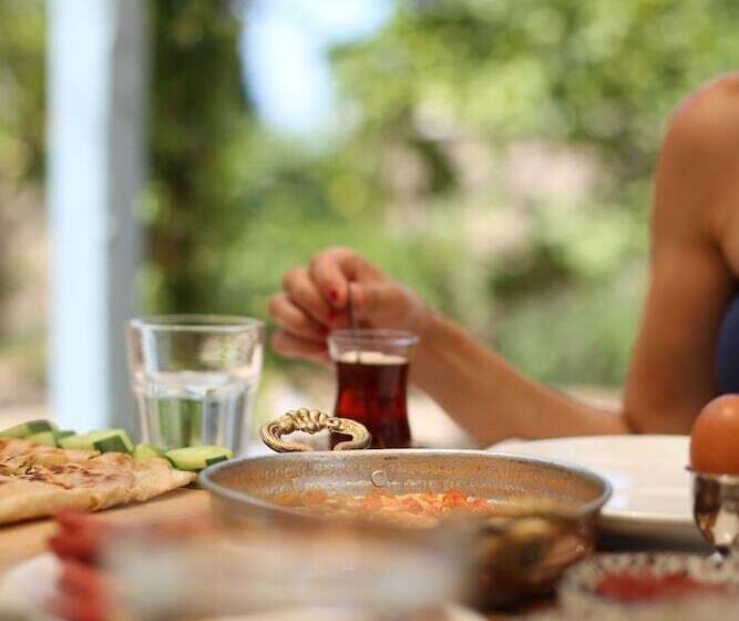 مبيت وإفطار Litri Otel