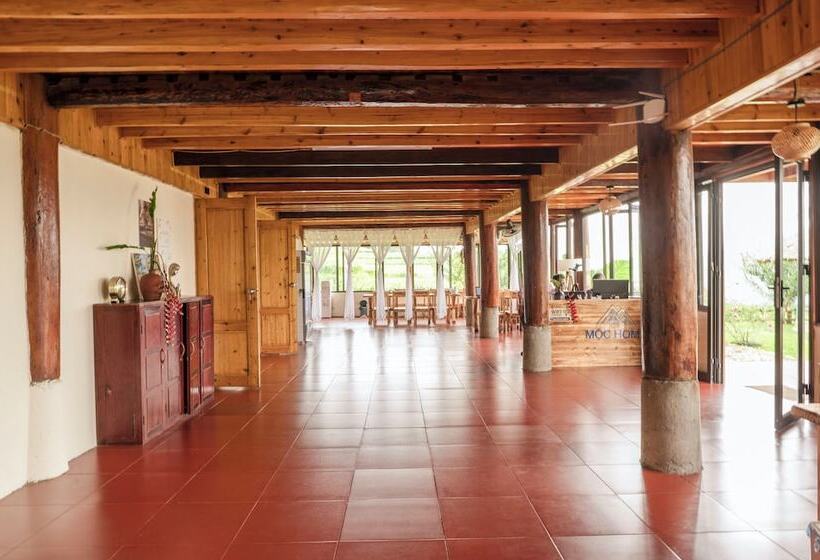 تختخواب و صبحانه Moc Home Sapa