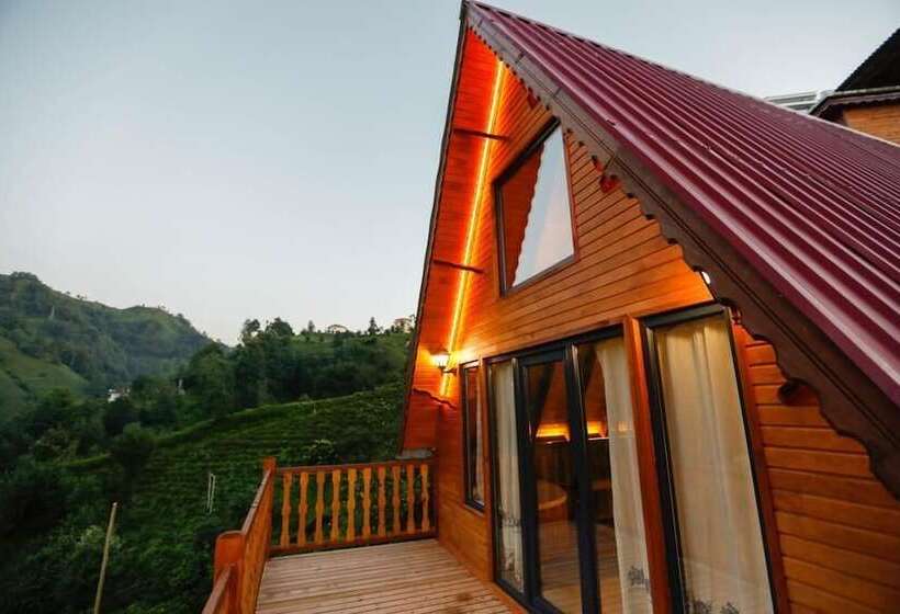 Bed and Breakfast Pafuli Bungalov