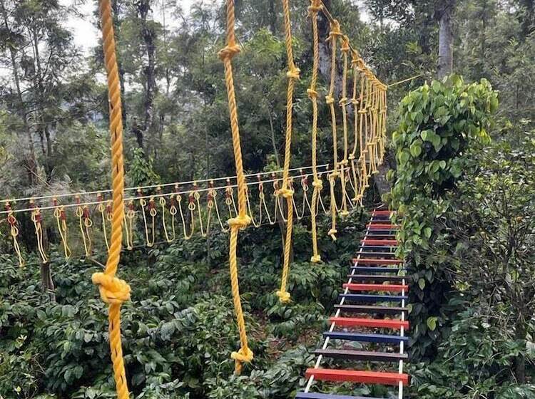 住宿加早餐  Suggi Nature Resort Coorg