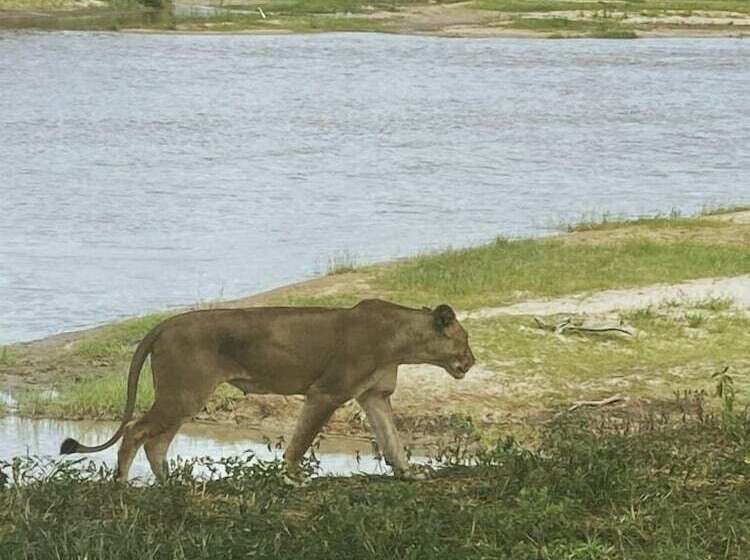 צימר Tembe Home