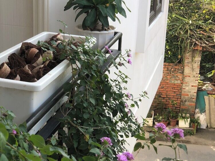 Della Luna Hotel Tam Coc