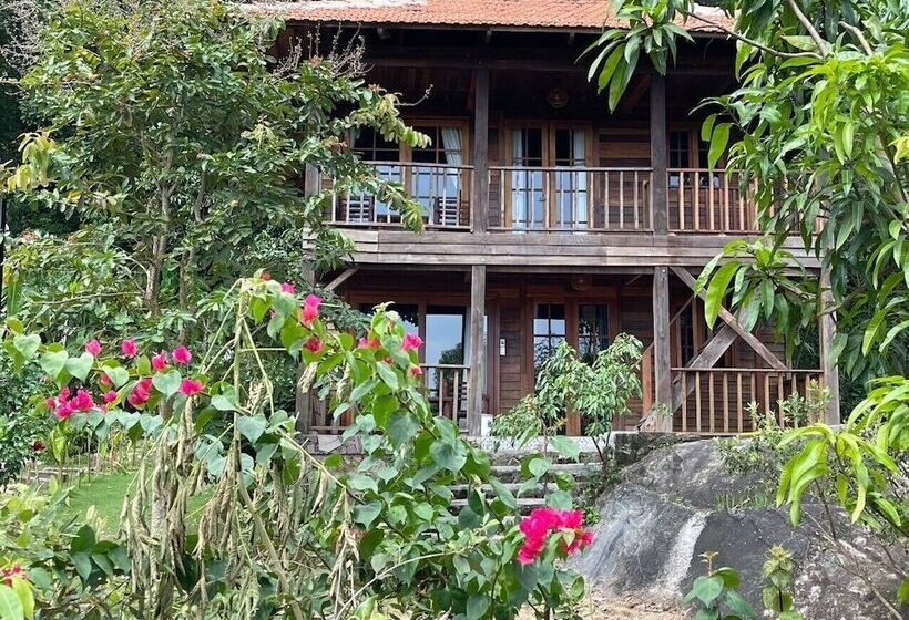 Freedom Jungle Resort