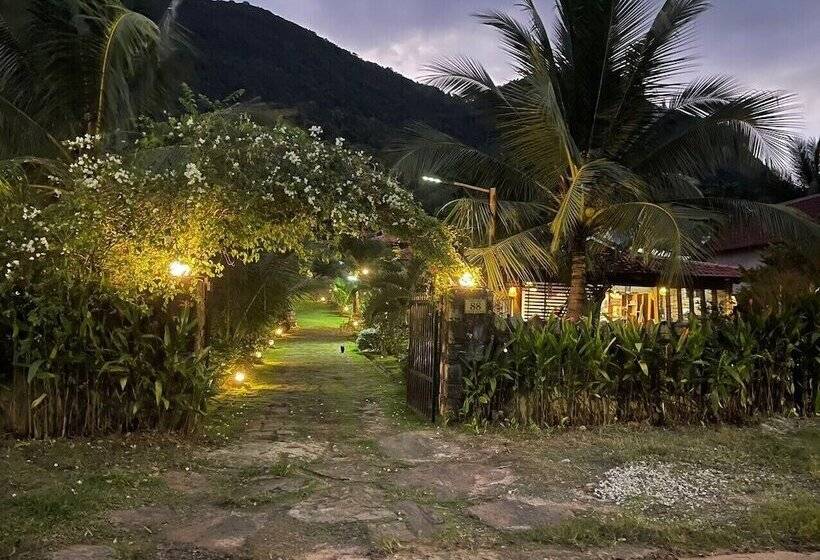 Freedom Jungle Resort