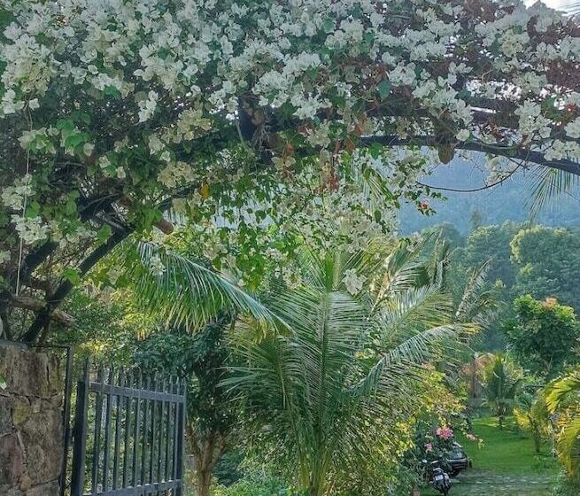 Freedom Jungle Resort