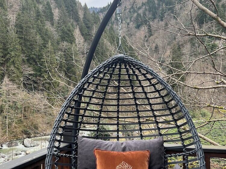 ホテル Ayder Vanak Stone Suites