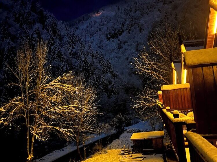 ホテル Ayder Vanak Stone Suites