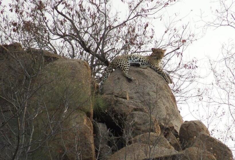 בית מלון כפרי Balule Bushveld Safari Lodge