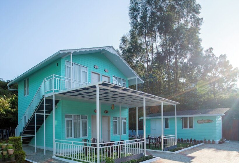 בית מלון כפרי Blossom Inn